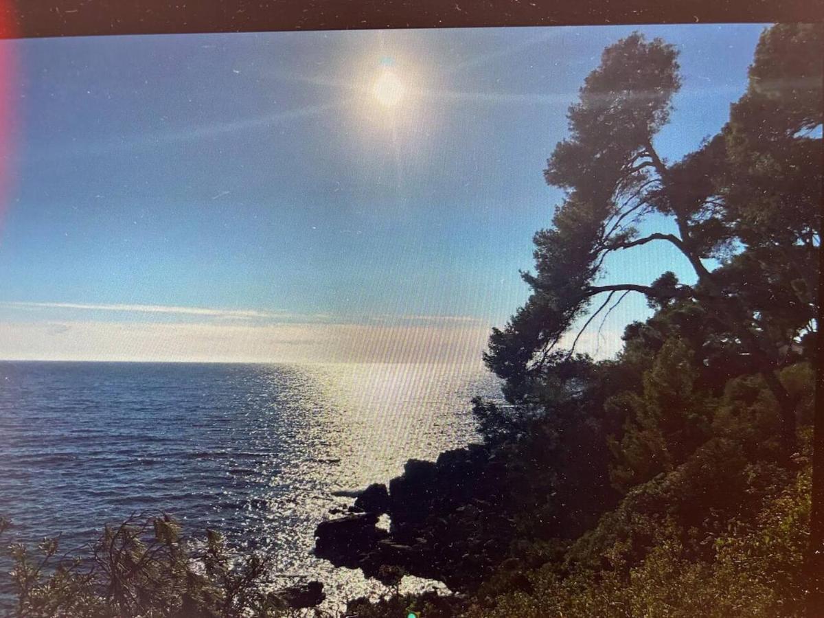 Pin Rollan Beach Saint-Mandrier-sur-Mer Esterno foto